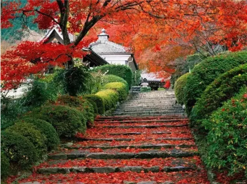 成都景观设计